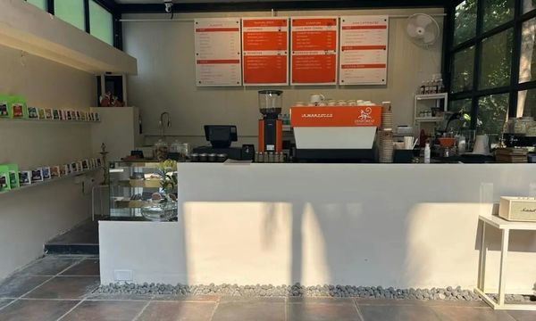 Zenforest Coffee Roasters