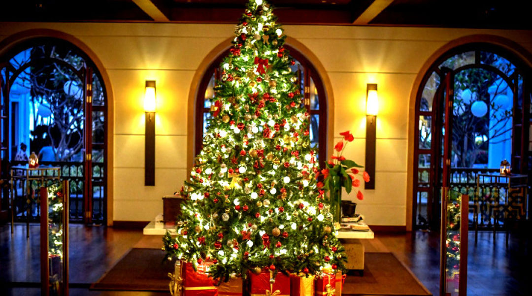 Christmas Tree Lighting Event at the Grand Hyatt Goa