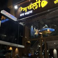 All Photos