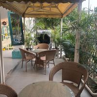 All Photos
