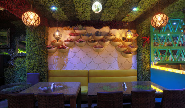 Mellow Garden-Mansarover Garden, West Delhi-restaurant/653484/restaurant220211009062854.jpg