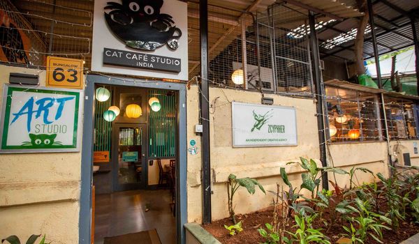 Cat Café Studio-Versova, Western Suburbs-restaurant/688923/restaurant020230602093124.jpg