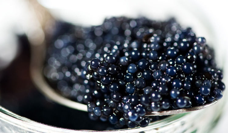 Don't fall prey to the Caviar Con